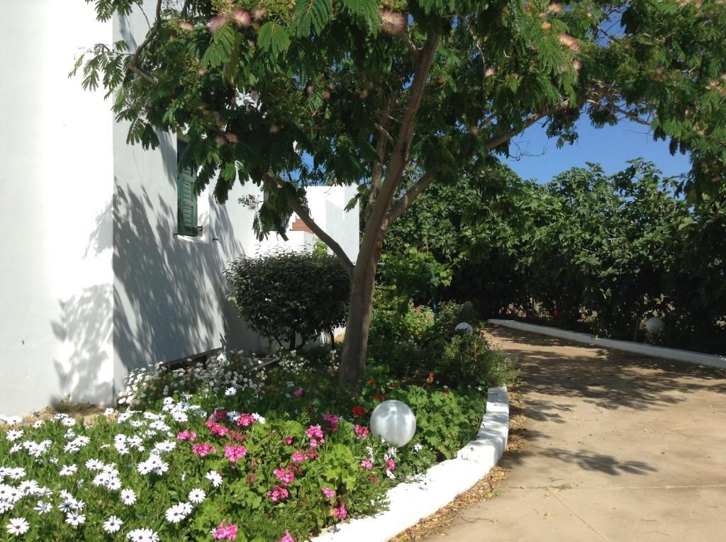 Hotel Astir Of Naxos Naxos City Exterior foto